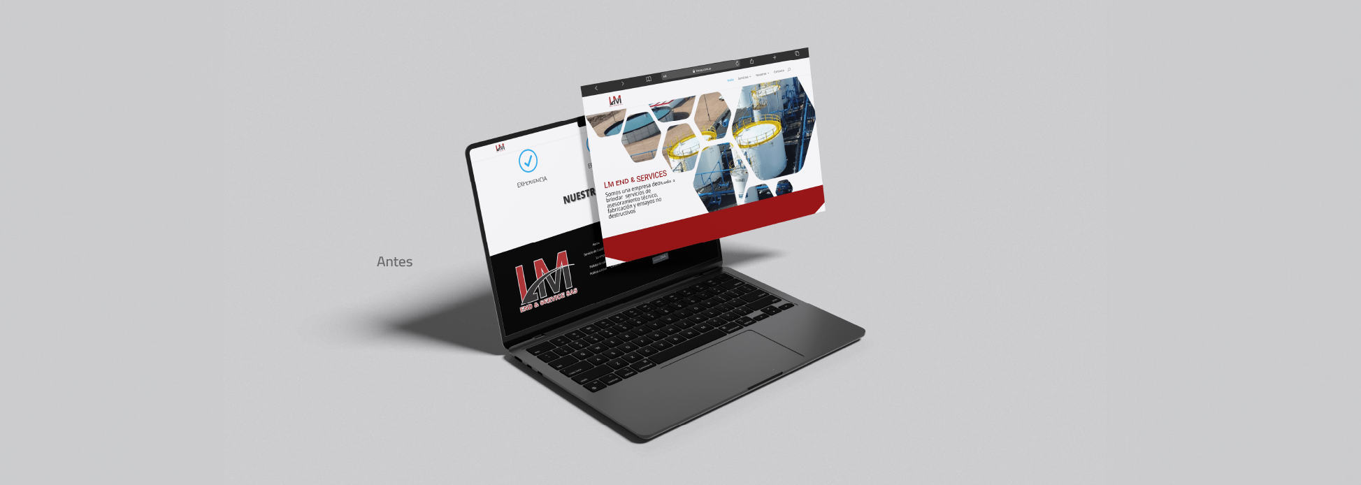 PROYECTOS WEB lm-35